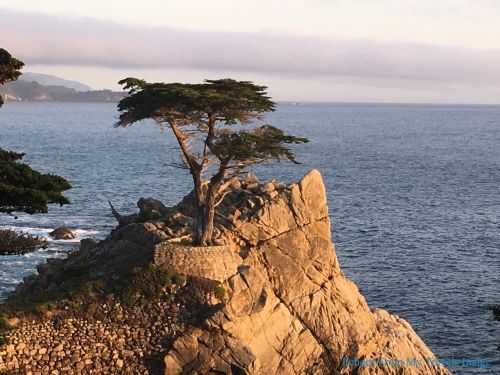 好文分享: 在加州蒙特利海灣，看到與時代周旋的華人