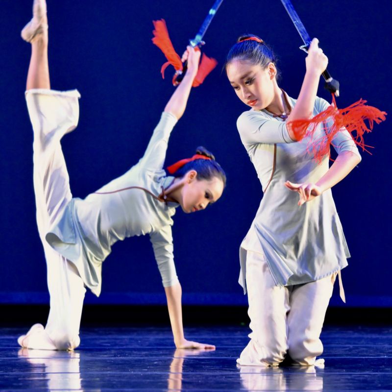 SCCCC Shines at North America’s Taoli Finals - South Coast Chinese ...